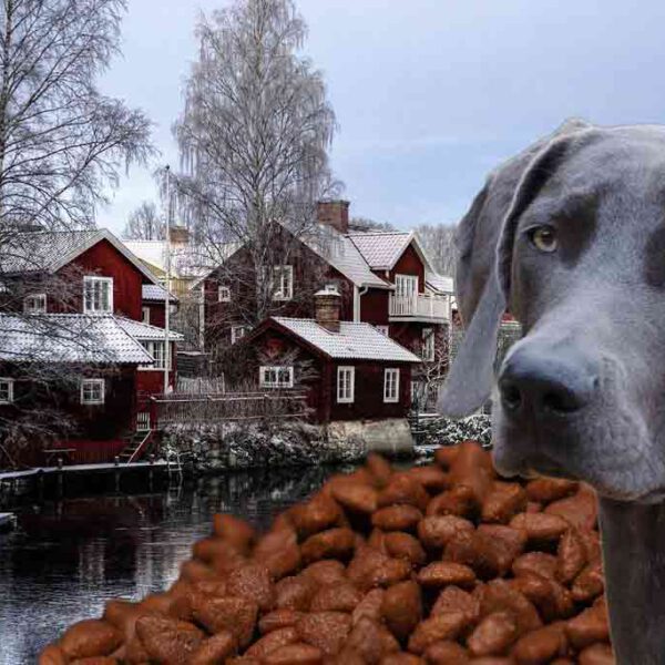 Ein Hund sitzt vor einem Haufen Hundefutter in einem schwedischen Dorf